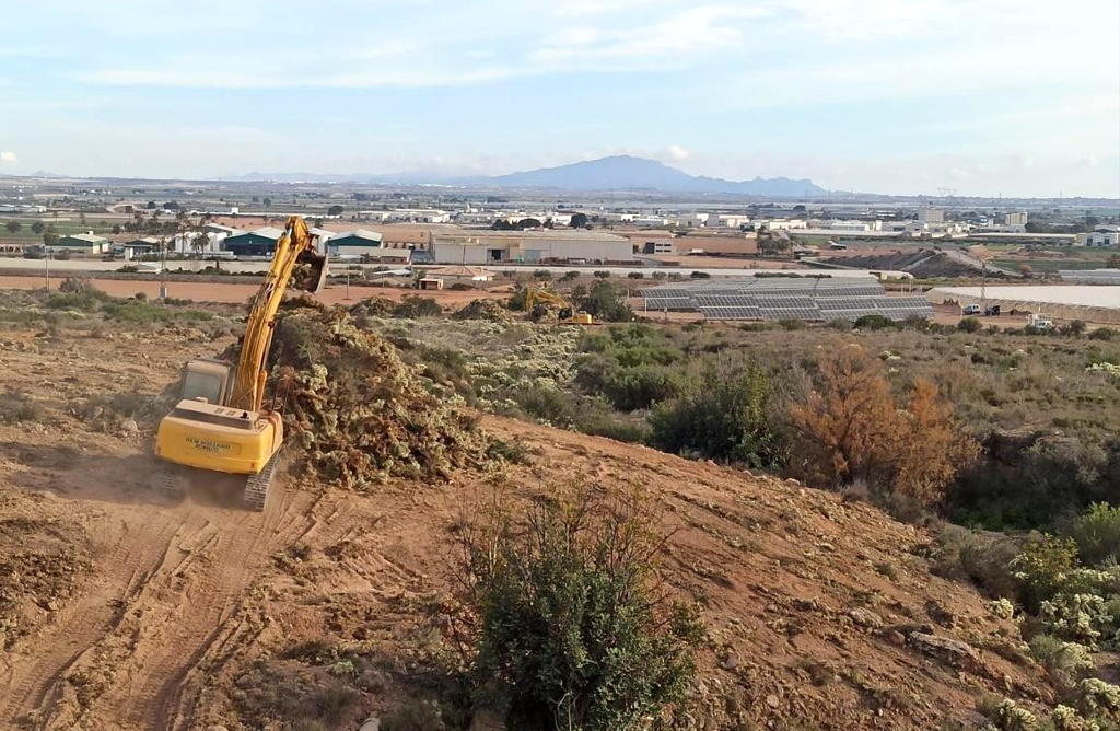 La Comunidad elimina 700 toneladas de cactus invasor en Totana para proteger el ecosistema